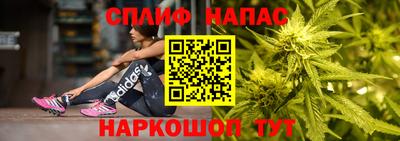 бошки Ставрополь